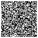 QR code with Prairie Implement Co contacts