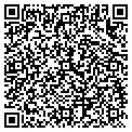 QR code with Digital Store contacts