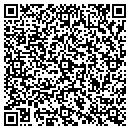 QR code with Brian Bemis Auto Mall contacts