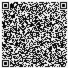 QR code with Chicagoland Signs Inc contacts
