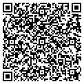 QR code with Orgins contacts