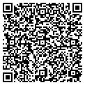 QR code with Kgglass contacts