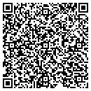 QR code with CDI Consulting Group contacts