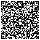QR code with Century 21 Pinnacle contacts