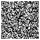 QR code with Process Systems Inc contacts