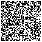 QR code with Pulaski County E-9-1-1 Adm contacts