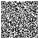 QR code with Prairie Art Alliance contacts