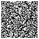 QR code with C & A Inspirations Inc contacts