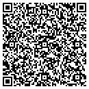 QR code with Carpets & More contacts