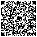 QR code with Ppm America Inc contacts