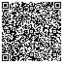 QR code with Cronin D F & Co Cpas contacts