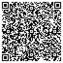 QR code with Carmi Public Library contacts