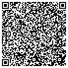 QR code with Blue Sky Satellite contacts