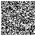 QR code with Ibt contacts