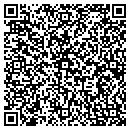 QR code with Premier Designs Inc contacts