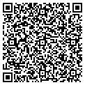 QR code with Dillards contacts