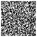 QR code with Carl E Paulson & Co contacts