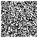 QR code with Carlson Construction contacts