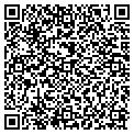 QR code with IMWRF contacts
