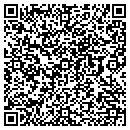 QR code with Borg Warnere contacts