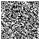 QR code with Puls & Assoc contacts
