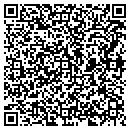 QR code with Pyramid Builders contacts