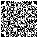 QR code with Brians Pro Shop Hobby contacts