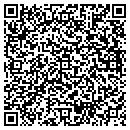 QR code with Premiere Conferencing contacts