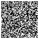 QR code with Profasts Inc contacts