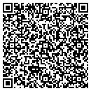 QR code with Process Solutions contacts