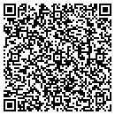QR code with Professional Weapons contacts