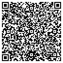 QR code with Blue Delphinium contacts