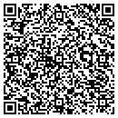 QR code with Programmable Systems contacts