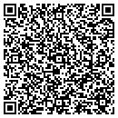 QR code with Protype contacts