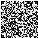 QR code with Central Il Lawn Care contacts