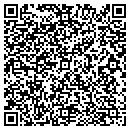 QR code with Premier Telecom contacts