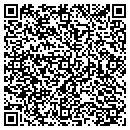 QR code with Psychedelic Sights contacts