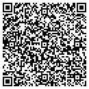 QR code with Precise Castings Inc contacts