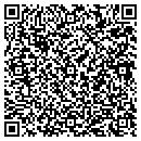 QR code with Cronin & Co contacts