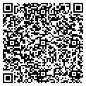 QR code with Haven contacts