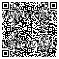 QR code with Oddie contacts
