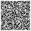 QR code with Promise Electronics contacts