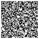 QR code with Cyclone Sound contacts