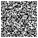 QR code with PSO Inc contacts