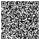 QR code with Costins Media Group contacts