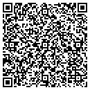 QR code with Precise Castings Inc contacts