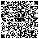 QR code with Blimpie Subs & Salads contacts