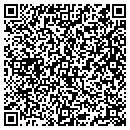 QR code with Borg Properties contacts