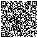 QR code with Bigote contacts