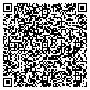 QR code with Cybernautic Design contacts